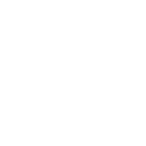 Društvo Parada ponosa logo